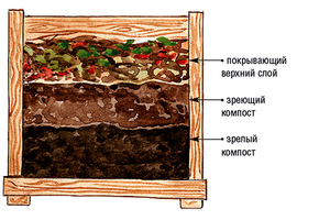Компост по слоям Слои компоста