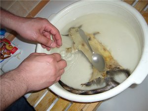 Отмокание  шкурок