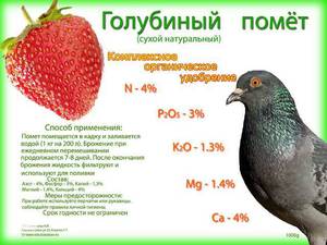Голубиный субстрат