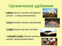 Виды удобрений
