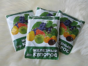 Особенности и способы применения железного купороса