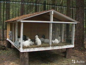 Делаем крольчатник сами