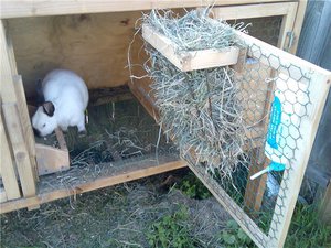 Как сделать кормушку