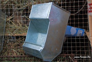 Делаем кормушки сами