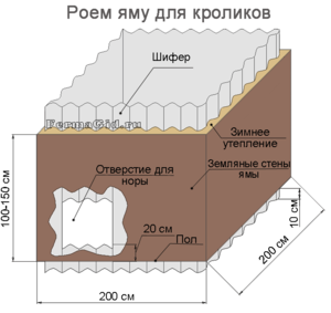 Яма для кроликов