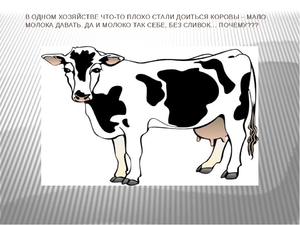 Коровы