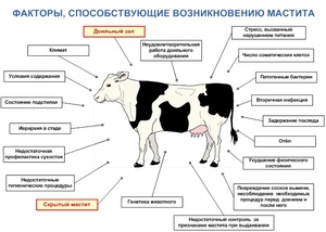 Влияние внешних факторов