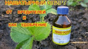 Показания к применению нашатырного спирта