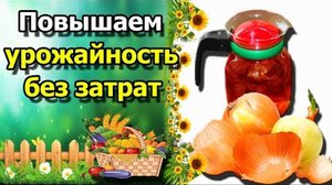 Шелуха как удобрение фото 