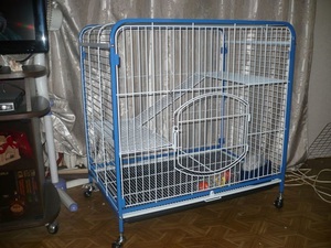 Факторы на которые следует обратить внимание при выборе заводской клетки для хорька