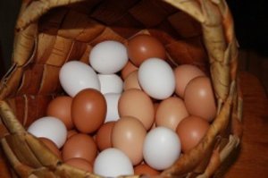 Вес куриного яйца