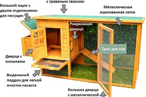 Описание процесса постройки тёплого курятника своими руками