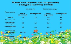 Описание рекомендуемого рациона овец