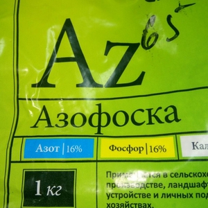Полезная азофоска  фото