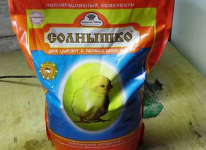 Как правильно кормить цыплят
