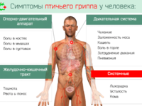 Какие симптомы проявляются при заражении