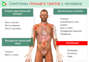 Какие симптомы проявляются при заражении