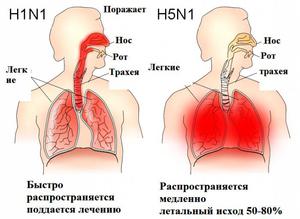 Как определить степень заражения