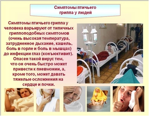 Как предотвратить поражение гриппом