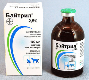 Как давать лекарство птицам