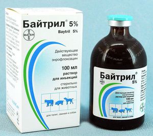 Как хранить байтрил