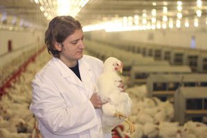Противопоказания и правила хранения препарата Чиктоник