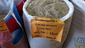 Чем кормить кур несушек