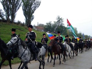 Внешние данные кабардинской лошади