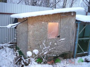 Строительство курятника