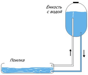 Каки есть поилки для перепелов