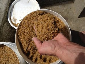 Описание простого способа приготовления своими руками комбикорма для перепелов
