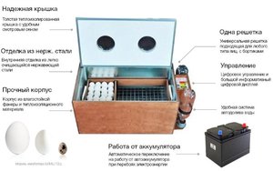 Как пользоваться инкубатором