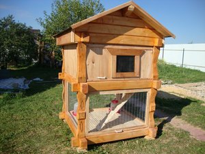 Как построить мини курятник