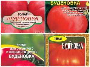Характеристика сорта томата