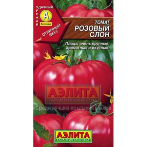 Выращивание томата
