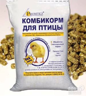 Как правильно кормить бройлеров