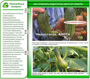 Внесение азотистых удобрений