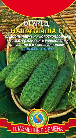 Сорт огурцов маша