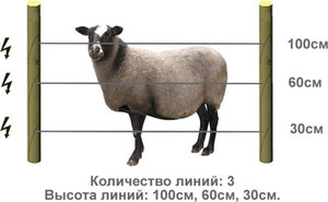 Приспособление для выгула коз