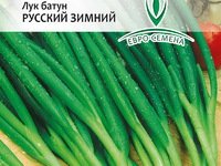 Описание сорта лука