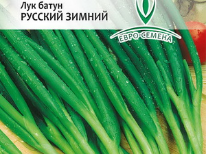 Описание сорта лука