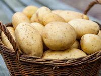 Картофель