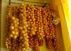 Народные методы хранения лука