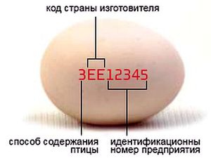 Маркировка куриных яиц в Европе фото