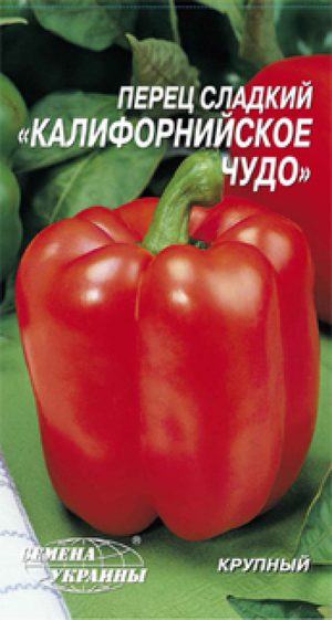 Сорт перца калифорнийское чудо