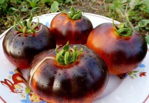 Характеристика