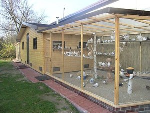 Строительство голубятни своими руками 