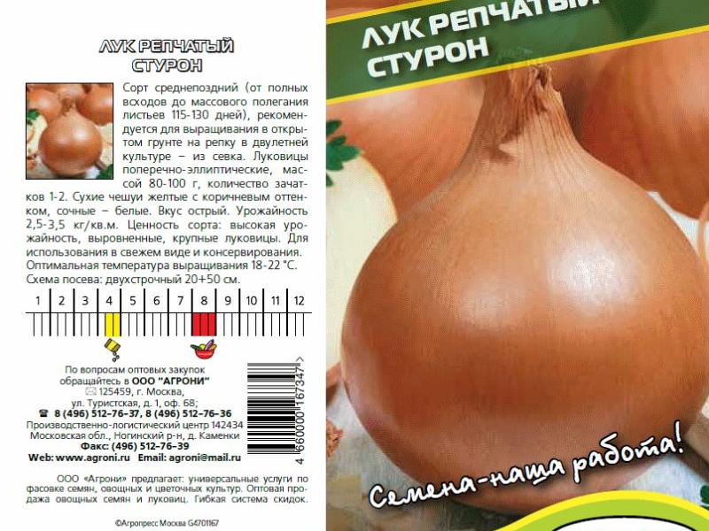 Сорта лука Как посадить лук
