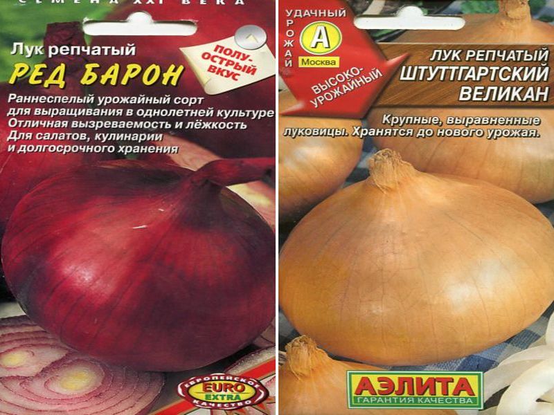 Сорта лука Какие есть сорта лука