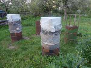 Посадка огурцов  фото